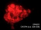 Anti-CXCR4 (C-terminal region) Antibody